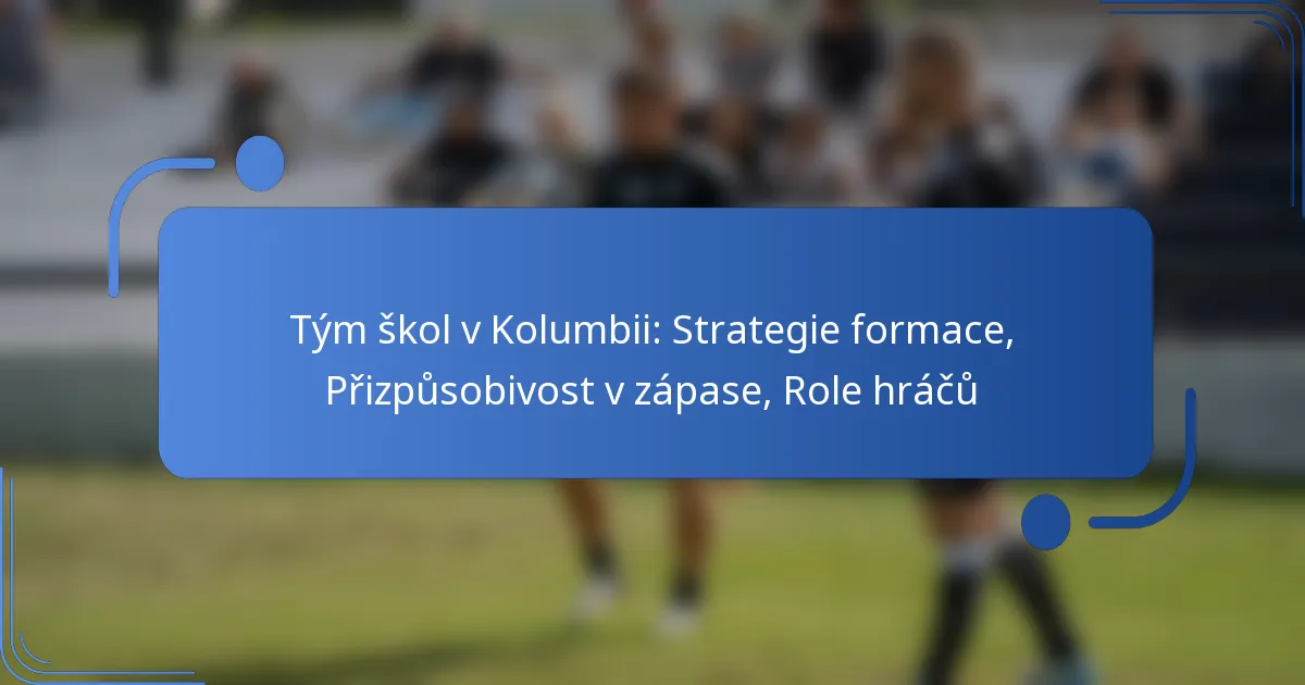 Tým škol v Kolumbii: Strategie formace, Přizpůsobivost v zápase, Role hráčů