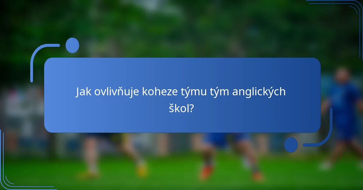 Jak ovlivňuje koheze týmu tým anglických škol?