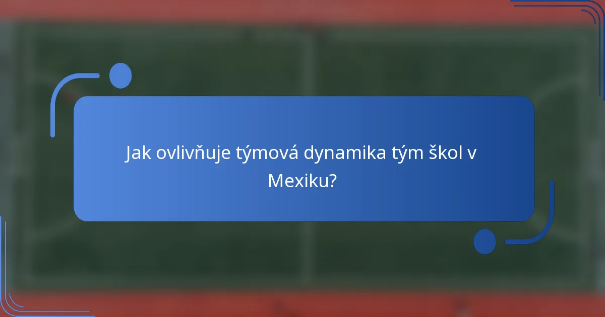 Jak ovlivňuje týmová dynamika tým škol v Mexiku?